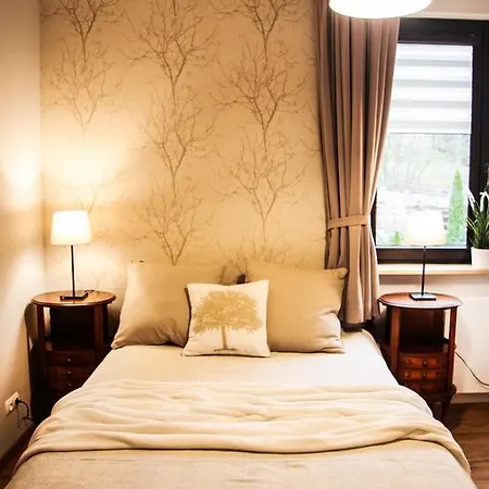 Apartament Rezydencja Huzarska